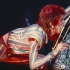 Ziggy Stardust and the Spiders from M…